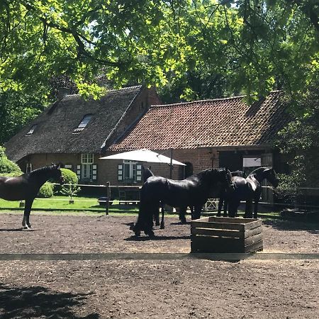 De Swaenhoeve Zoersel Luaran gambar