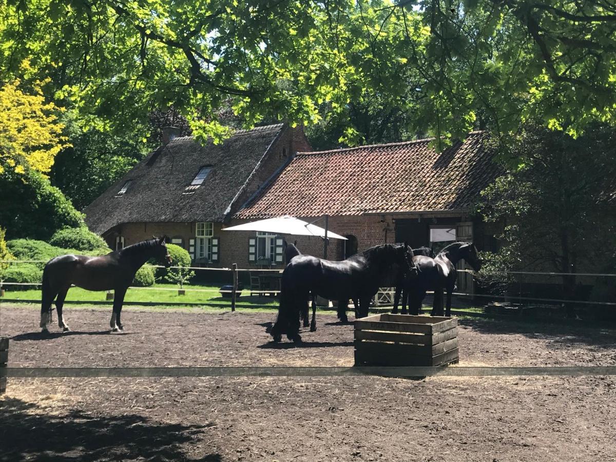 De Swaenhoeve Zoersel Luaran gambar