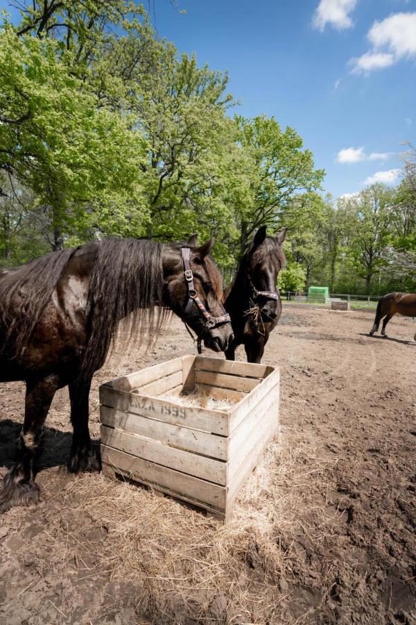 De Swaenhoeve Zoersel Luaran gambar