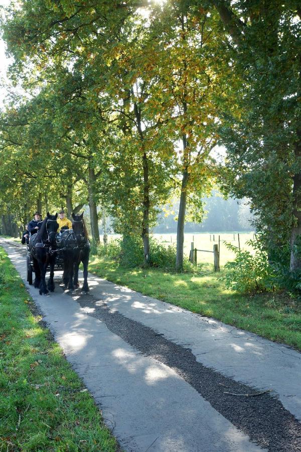 De Swaenhoeve Zoersel Luaran gambar