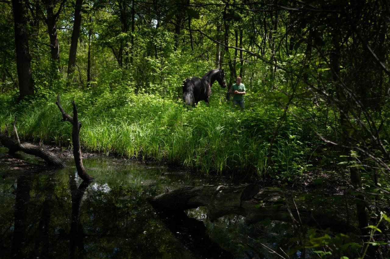 De Swaenhoeve Zoersel Luaran gambar