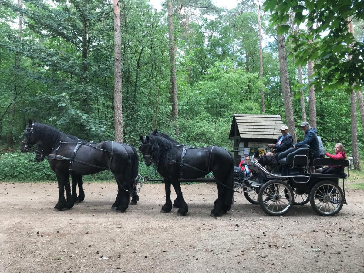 De Swaenhoeve Zoersel Luaran gambar