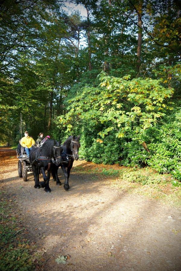 De Swaenhoeve Zoersel Luaran gambar